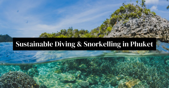 Sustainable Diving and Snorkelling in Phuket